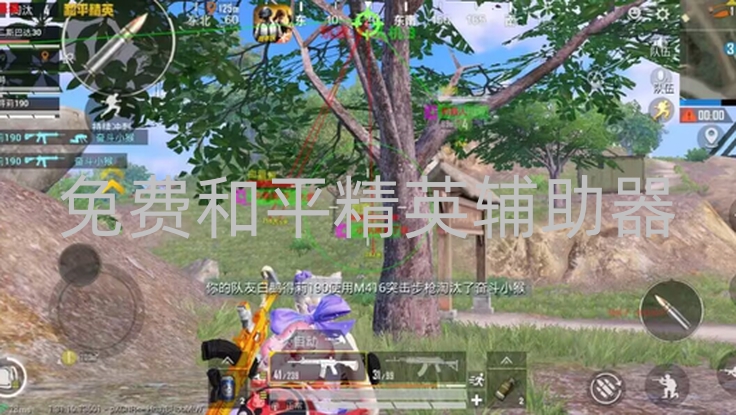 免费和平精英辅助器