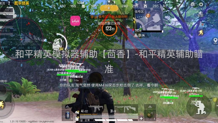 和平精英模拟器辅助【茴香】-和平精英辅助瞄准