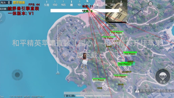 和平精英苹果直装【甜心】-和平精英开挂苹果版下载